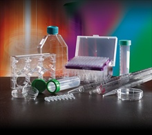 'High Quality Tissue Culture Plasticware' from Porvair Sciences