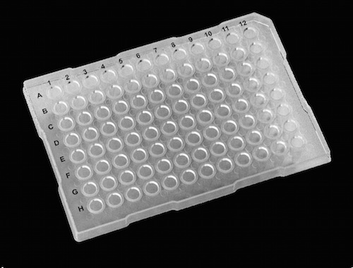 Polypropylene PCR plates