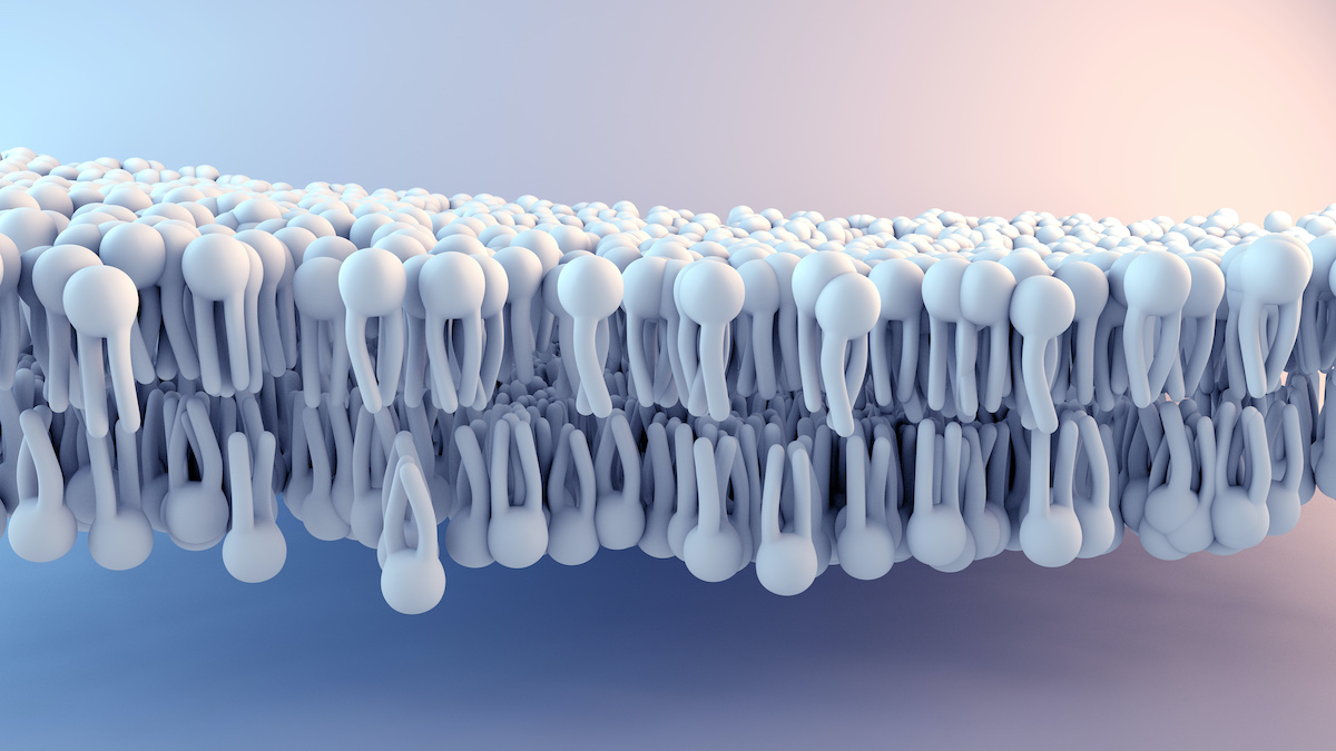 highly-reproducible-amp-efficient-phospholipid-removal