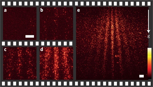 quantum-interference