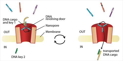 revolving door nanopore