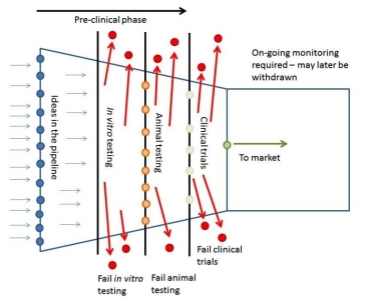 tissue engineering