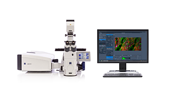 zeiss confocal